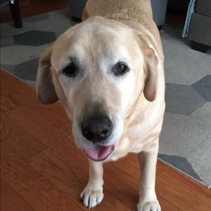 Meet your Posher, Daniella